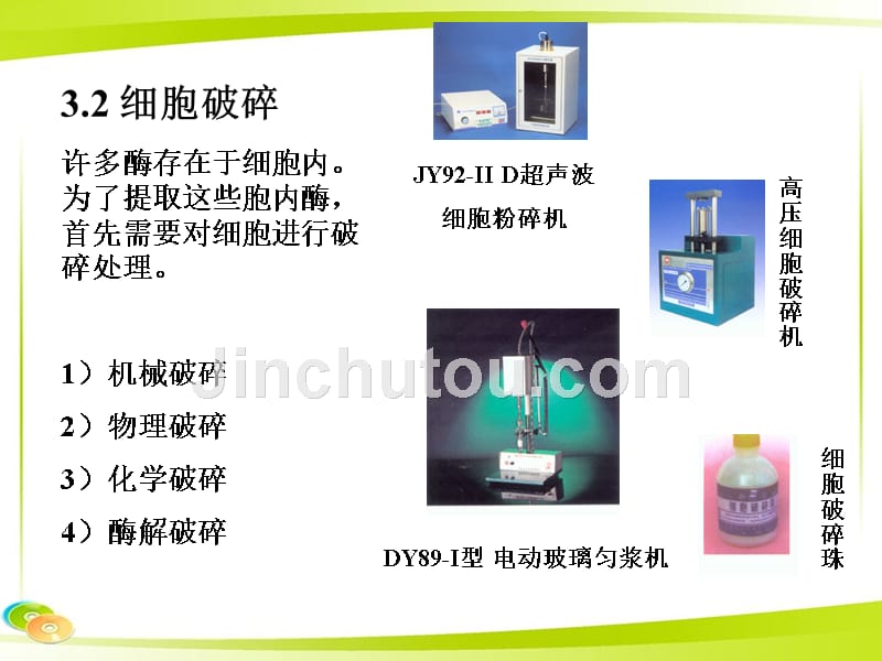 食品化学：酶的分离纯化_第5页