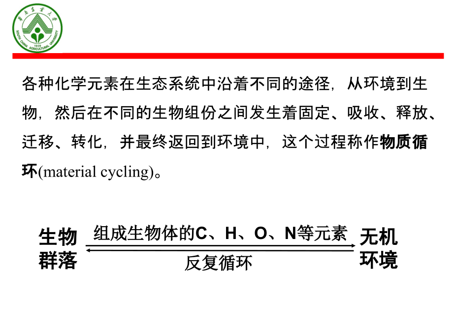 生态系统物质循环课件_第4页