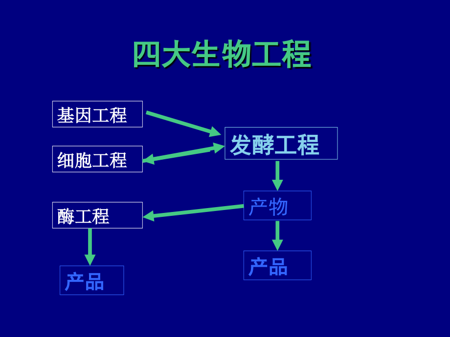 现代生物技术-05.酶工程_第2页