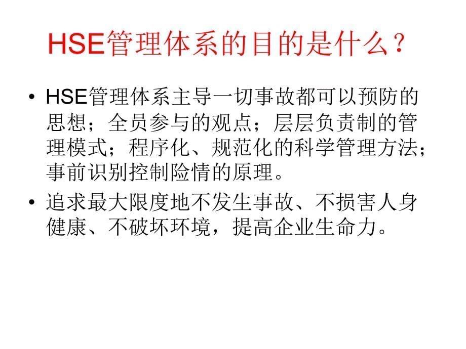 hse培训课件_第5页