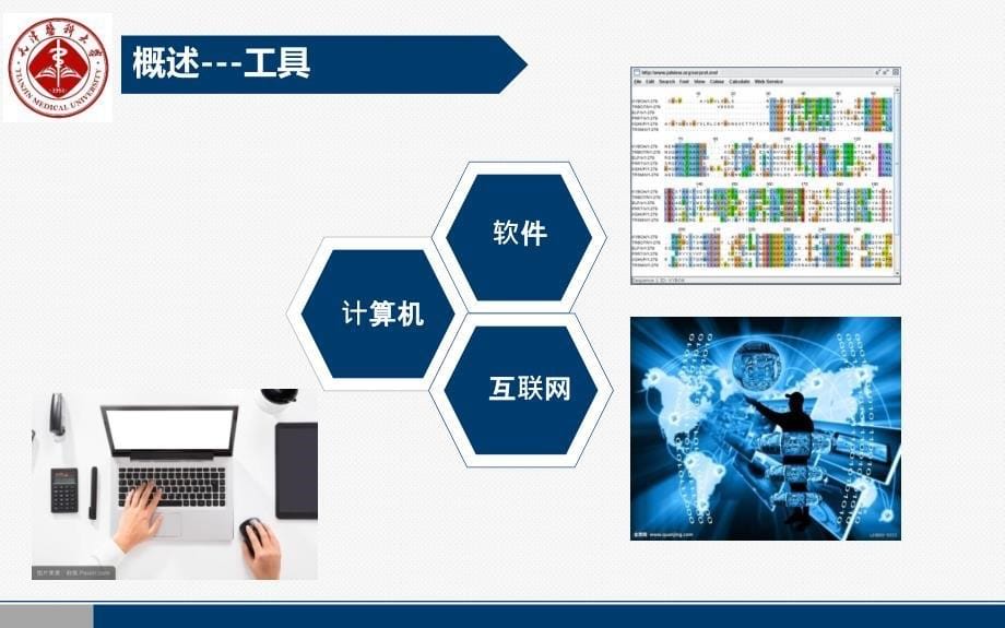 生物信息学研究概述汇报ppt_第5页