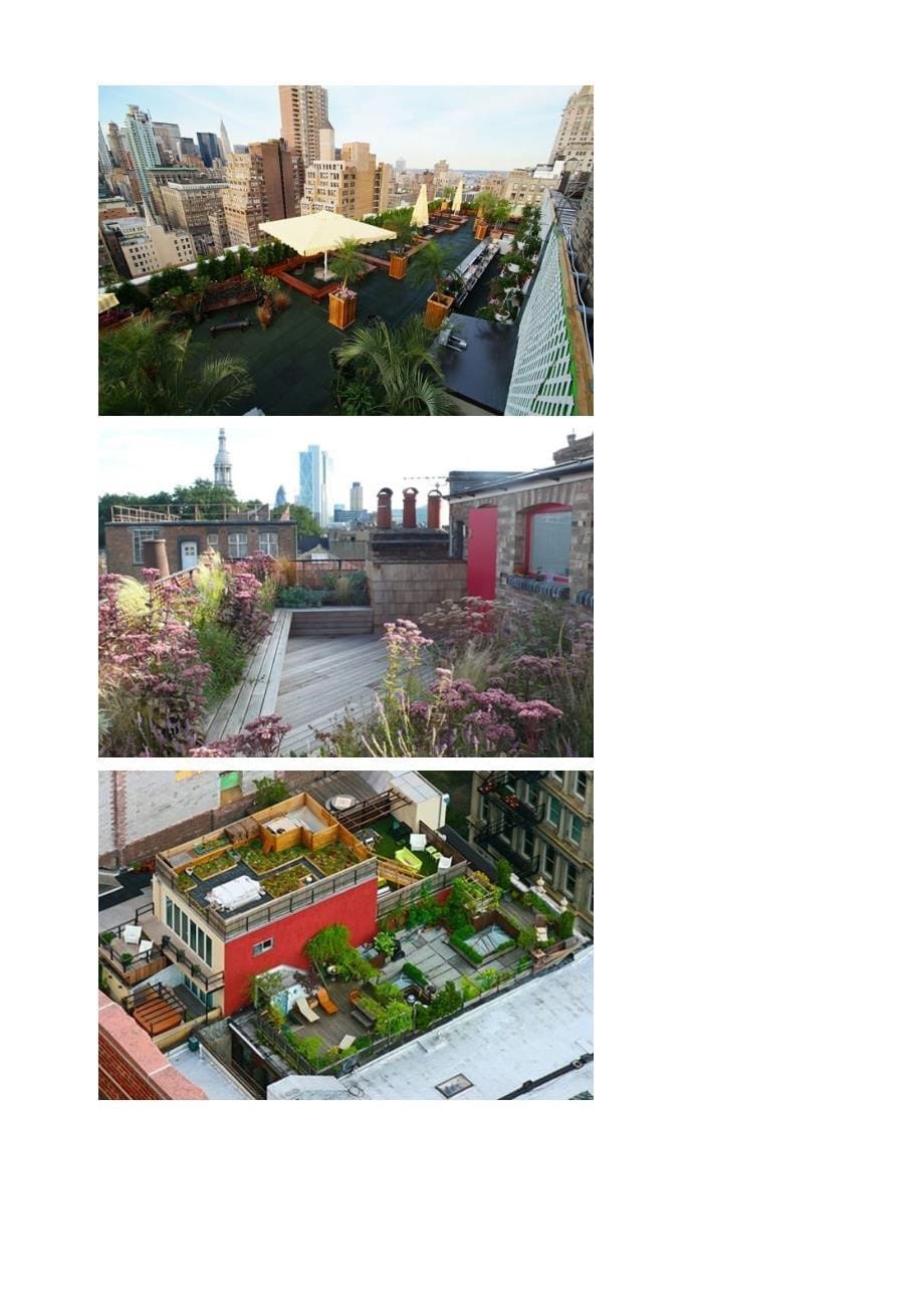 30个创意的楼顶花园设计案例_第5页