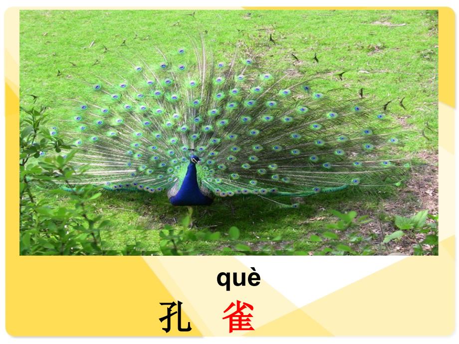 3拍手歌_第1页