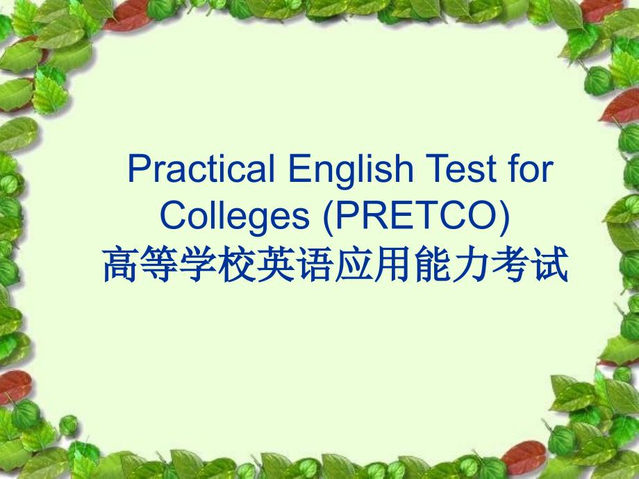 高等学校英语应用能力b级讲解_第1页