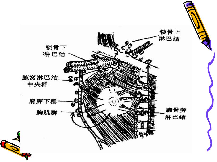 急性乳腺炎病人护理-_第4页