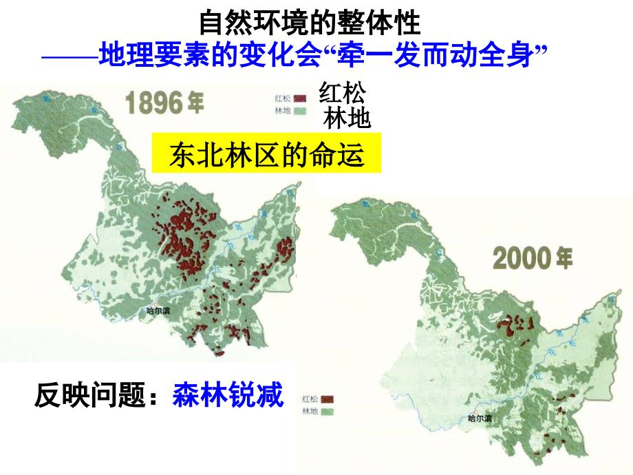 高考一轮复习-自然地理环境的整体性与差异性_第4页