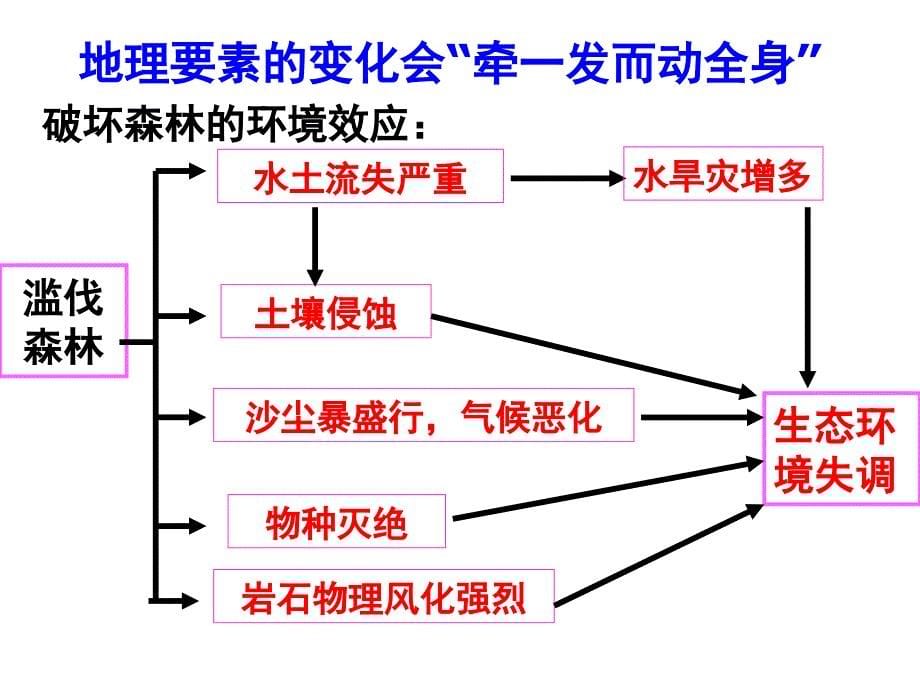 高考一轮复习-自然地理环境的整体性与差异性_第5页