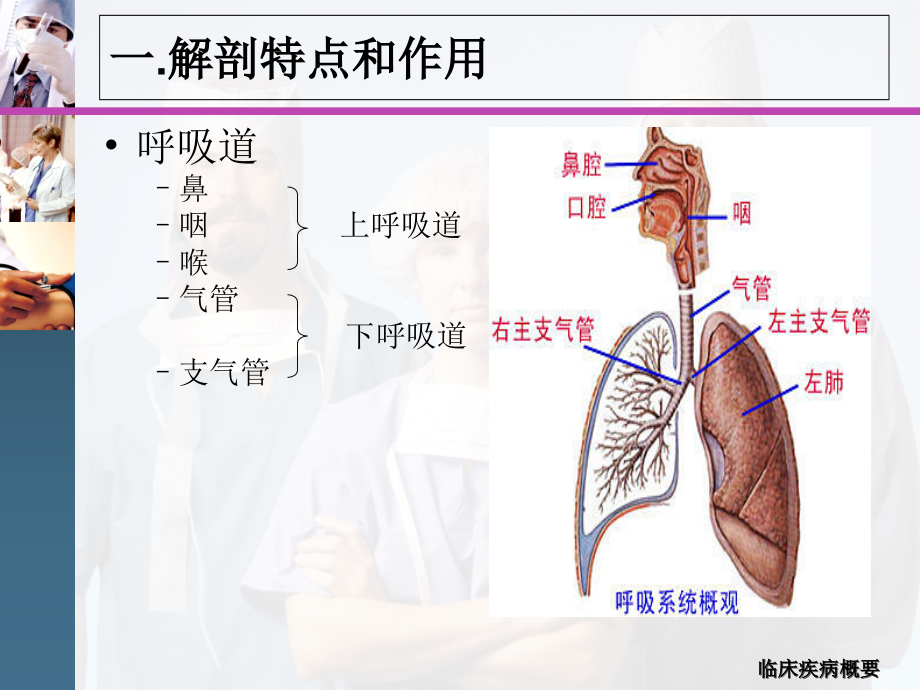 呼吸系统疾病2014康复治疗2上传_第4页
