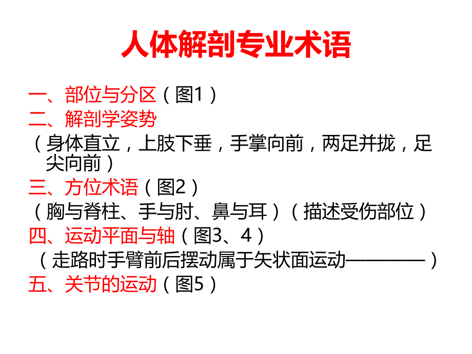 触诊诊断学总论_第4页