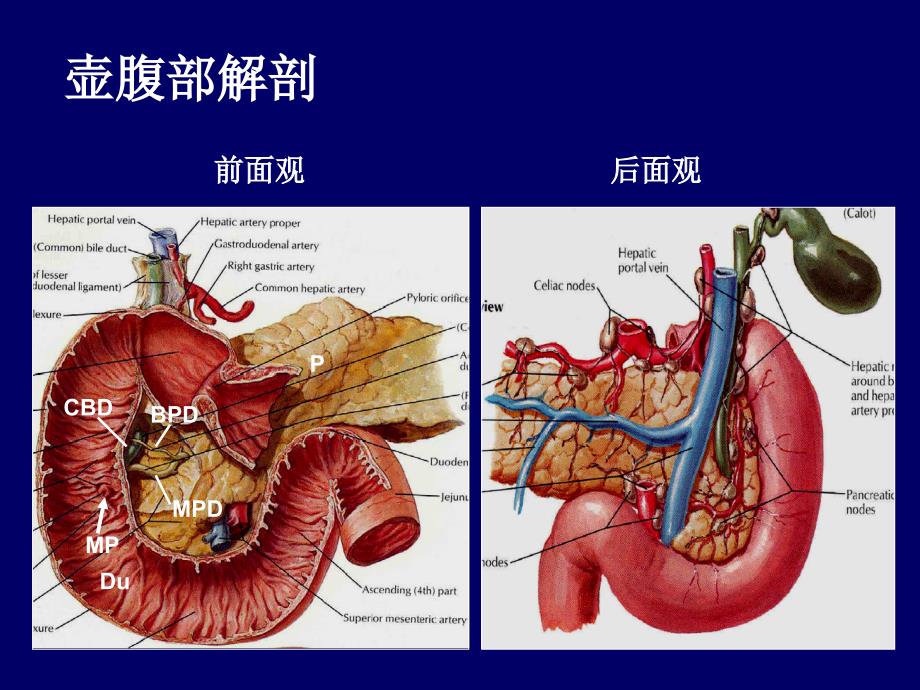 壶腹周围癌影像诊断最新2016.3.30_第2页