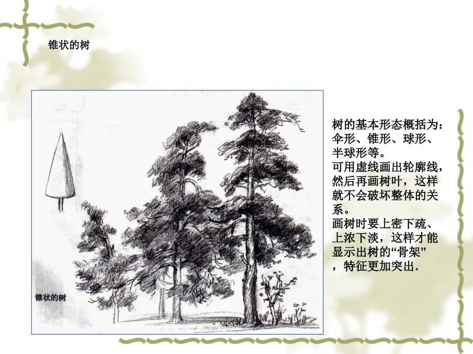 风景速写中树的表现 课件_第5页
