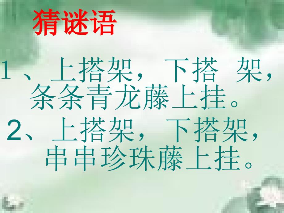 《爬山虎的角》ppt课件_第2页