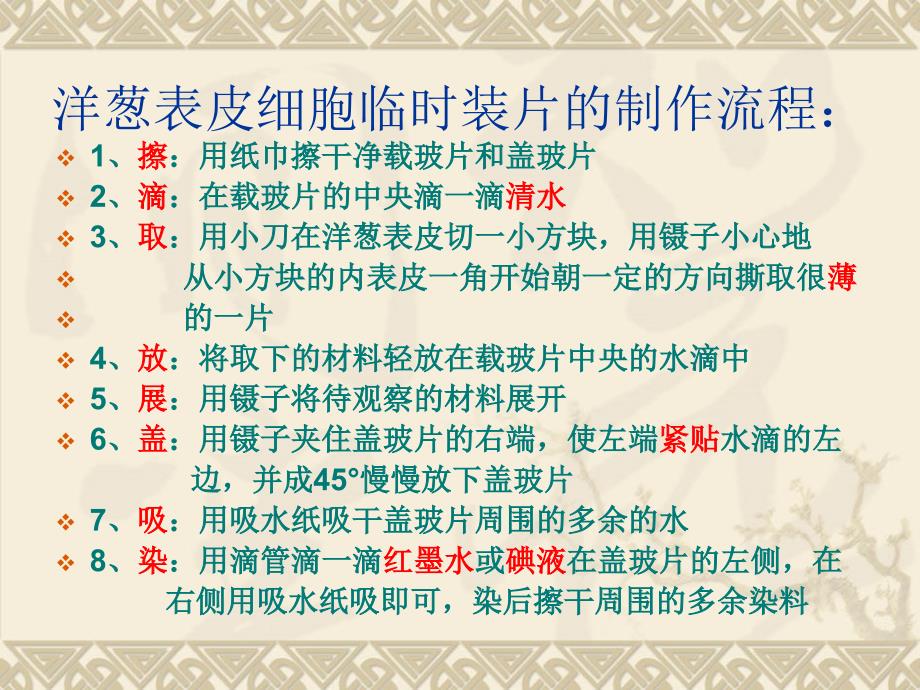 观察洋葱表皮细胞和   人体口腔上皮细胞   (_第2页