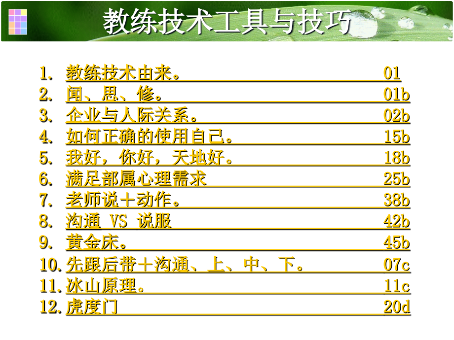 企业教练管理技术经典实用课件：教练核心课程_第4页