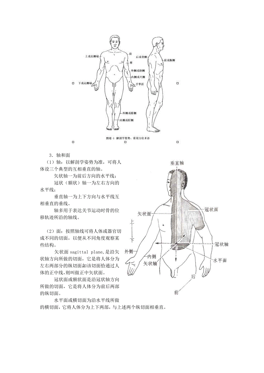 骨科解剖基础_第2页