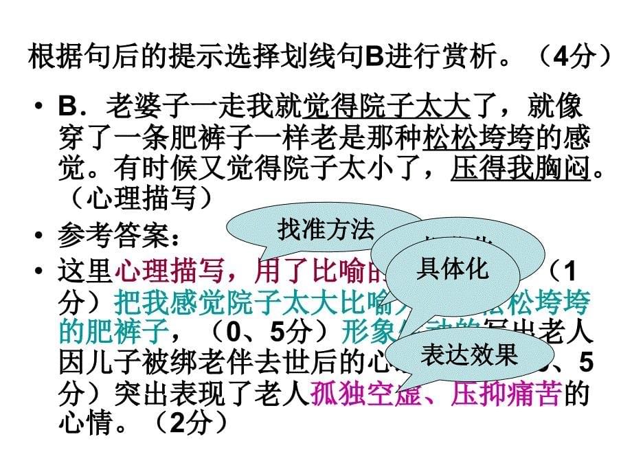 赏析句子的表达效果_第5页