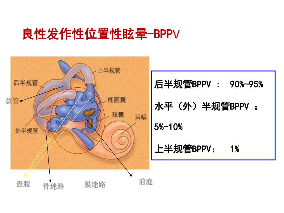 常见4类耳石症的手法复位_第3页