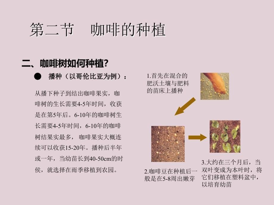 品牌咖啡店人员素质提升训练之咖啡专业知识培训_第5页