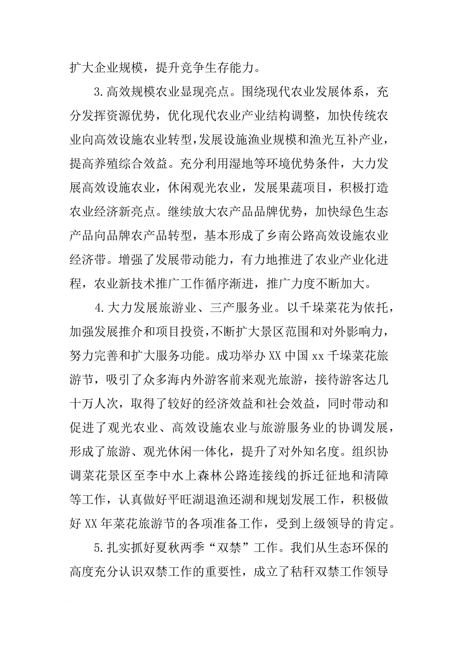 乡镇党委年度述职工作总结_第4页