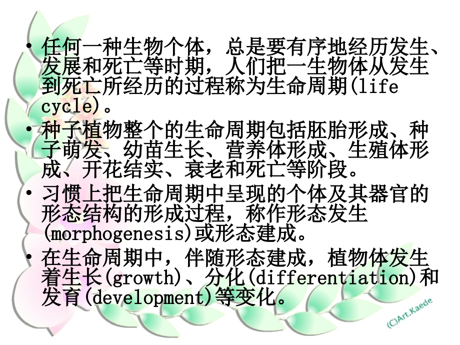 中国科学院大学植物生理学课件：第十章 植物的生长生理_第2页