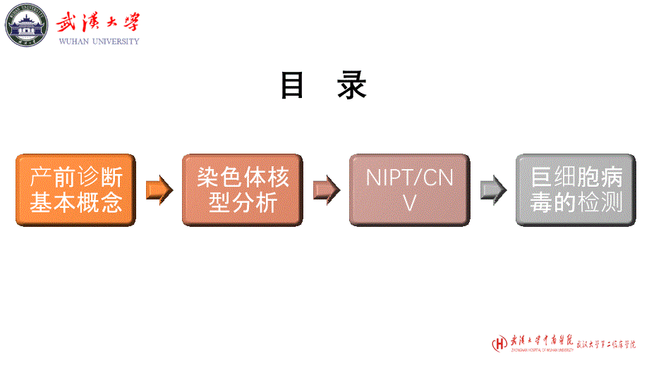 产前分子诊断中需要注意的若干问题(郑主任)修改(1)_第2页