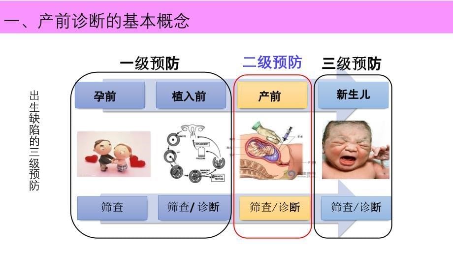 产前分子诊断中需要注意的若干问题(郑主任)修改(1)_第5页