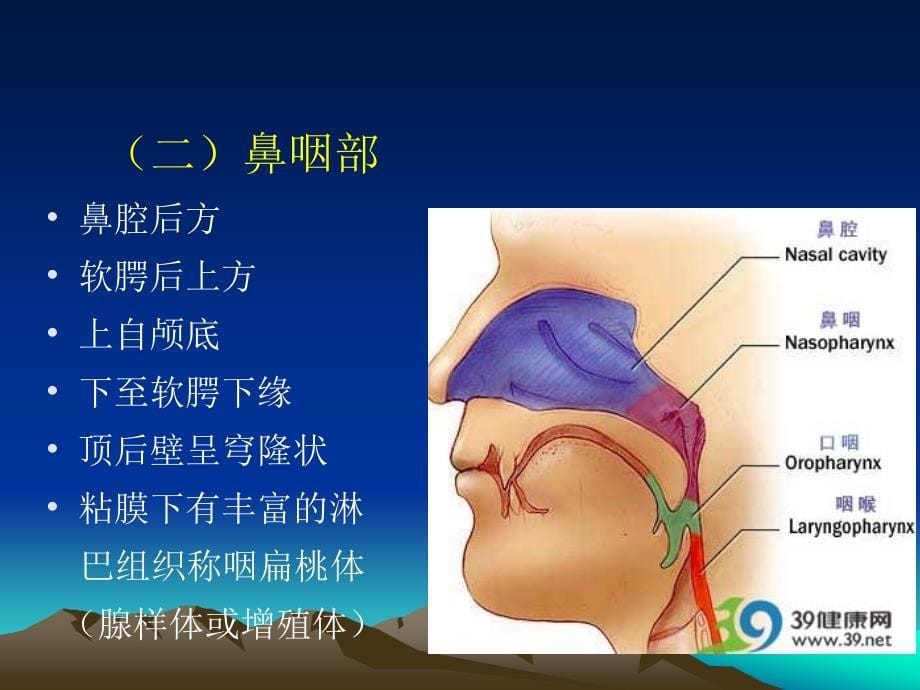 鼻咽癌影像学表现_第5页