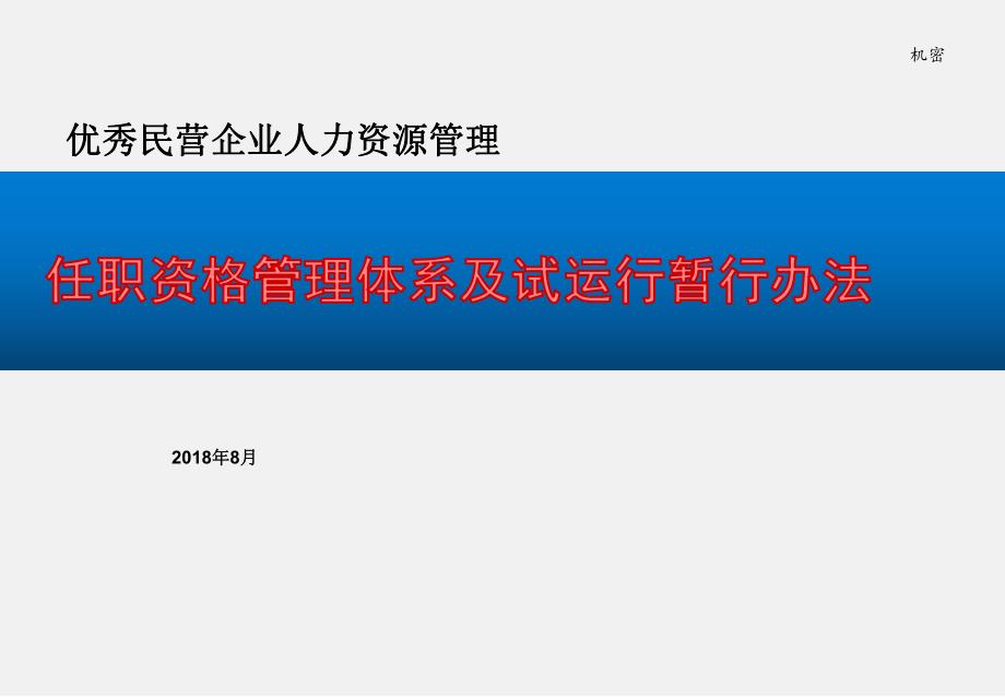 公司任职资格管理体系介绍及试运行办法_第1页