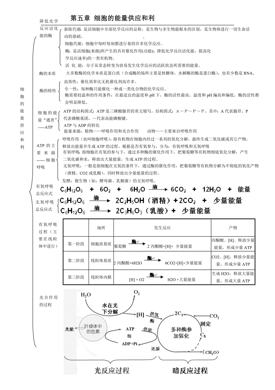 生物必修一知识框架图_第4页