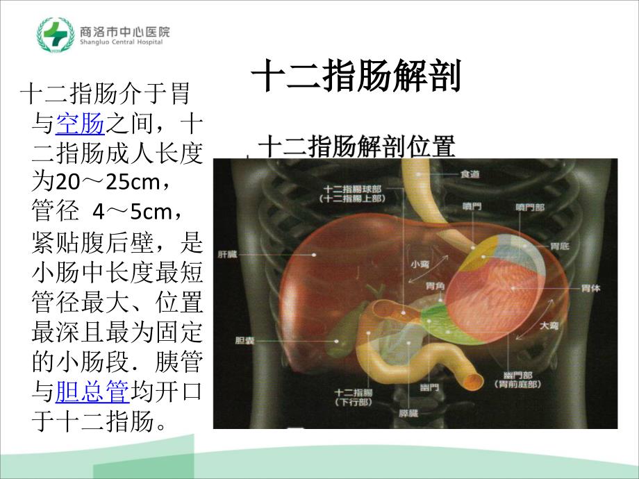 十二指肠癌_第2页