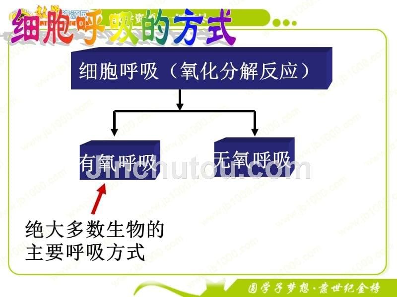 生物：5.3《atp的主要来源——细胞呼吸》课件5(新人教版必修1)_第5页