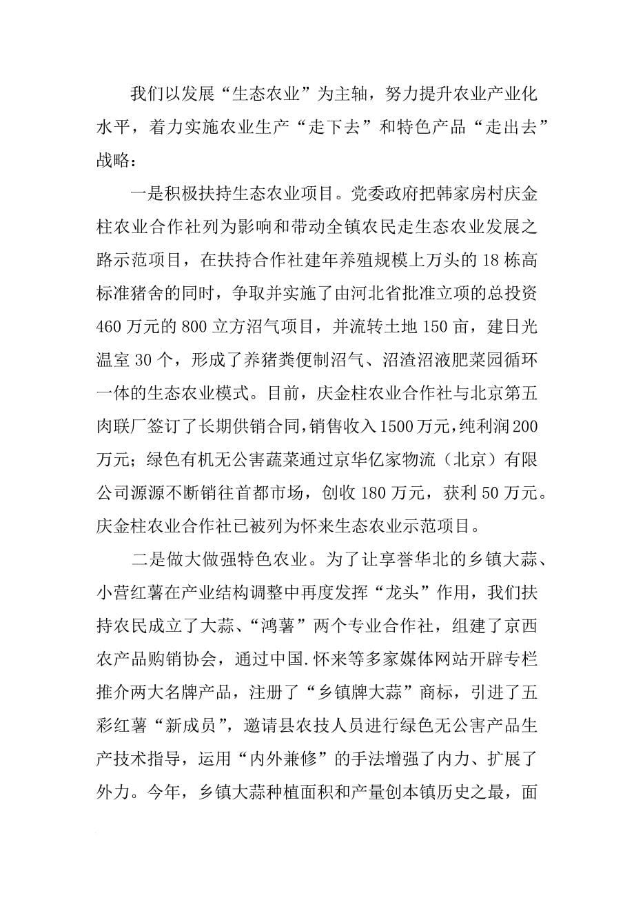 乡镇党委政府年度重点工作总结_第5页