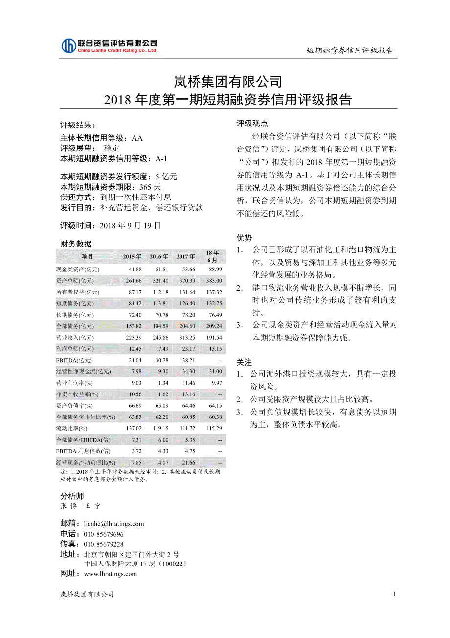 岚桥集团有限公司2018年度第一期短期融资券信用评级报告_第2页