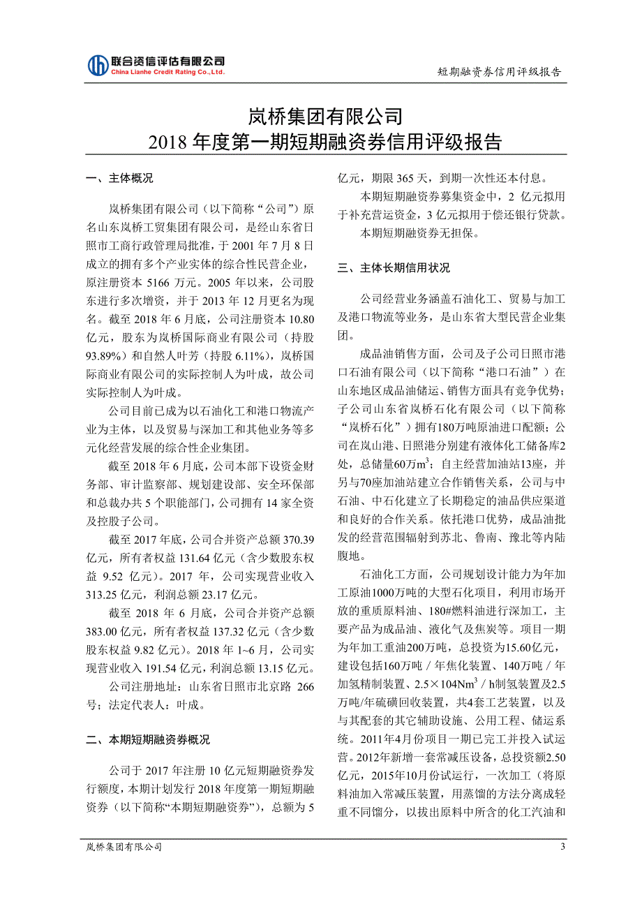 岚桥集团有限公司2018年度第一期短期融资券信用评级报告_第4页