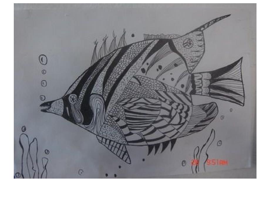 鱼的黑白线描画_第4页