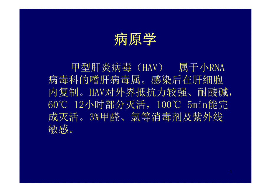 内科护理学病毒性肝炎_第4页