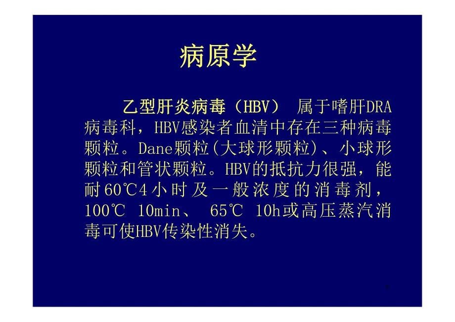 内科护理学病毒性肝炎_第5页