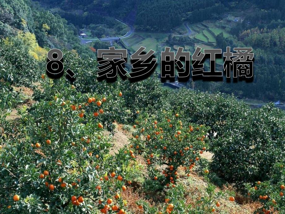 家乡的红橘_第1页