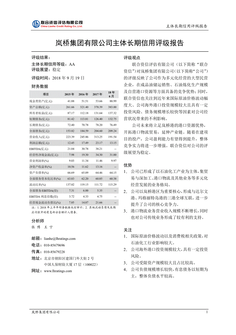 岚桥集团有限公司主体长期信用评级报告_第2页