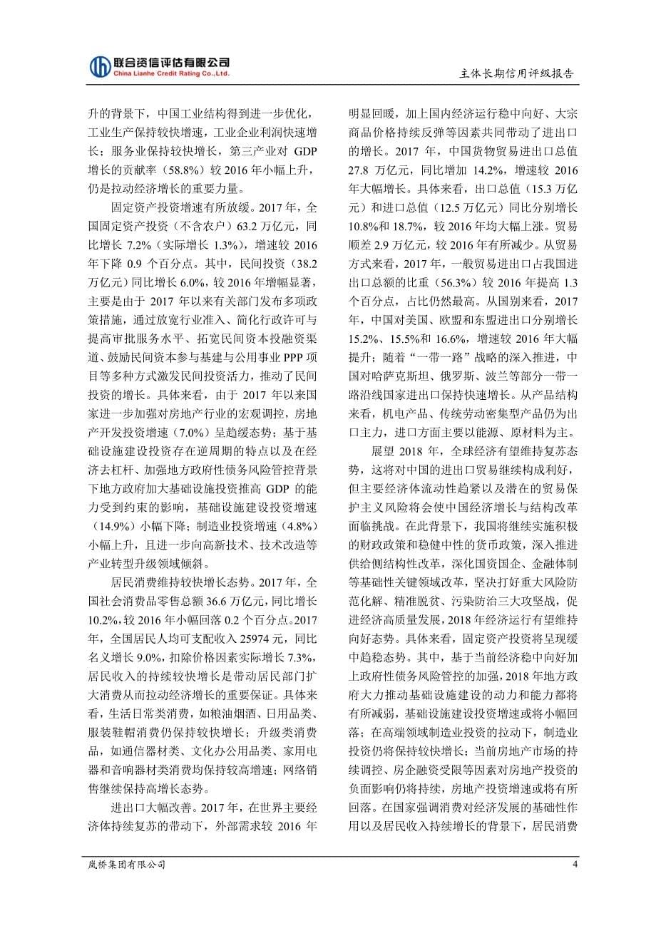 岚桥集团有限公司主体长期信用评级报告_第5页