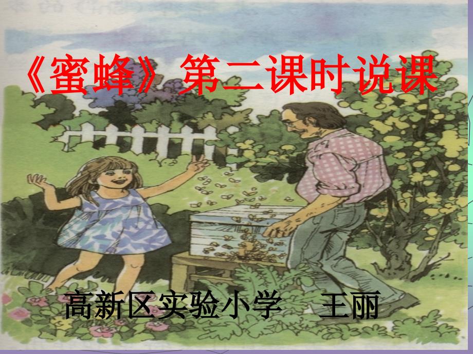 14《蜜蜂》说课ppt课件1_第1页