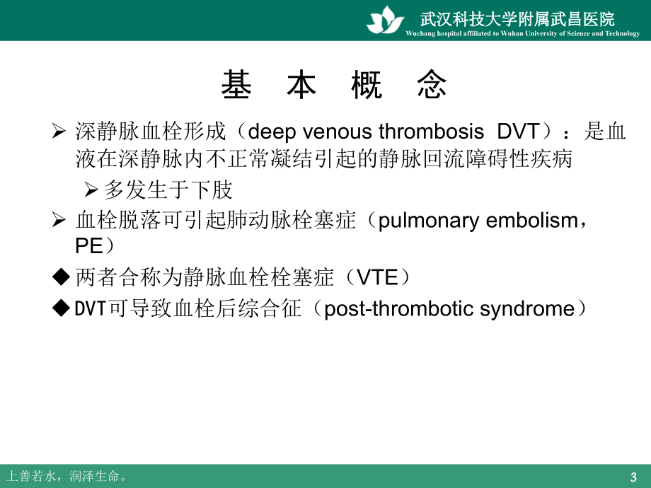 静脉血栓栓塞症及预防_第3页