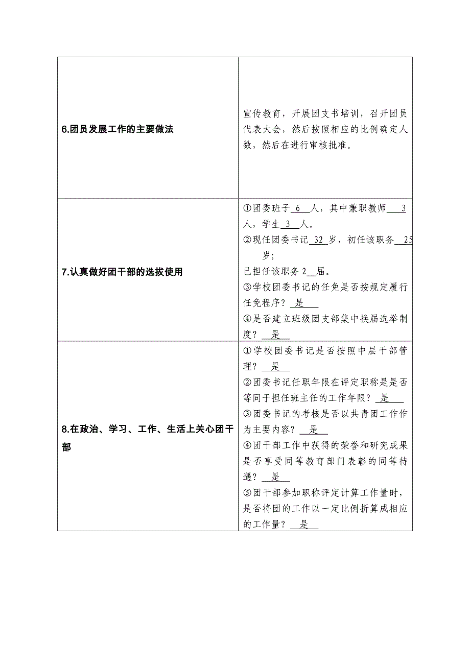 中学共青团工作自查情况统计表_第2页