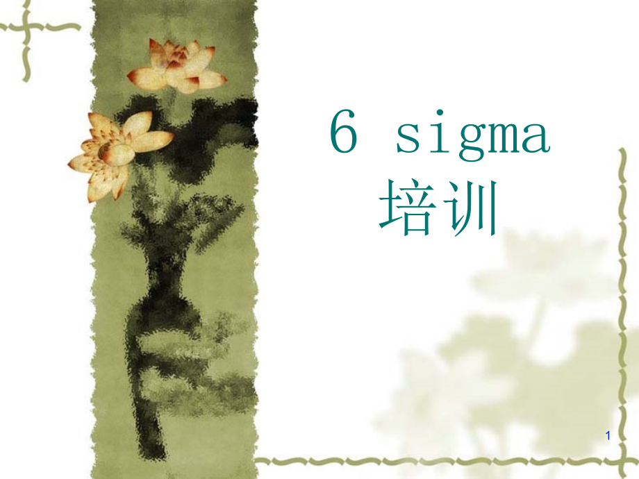 6sigma培训全套资料(ppt-247页)_第1页