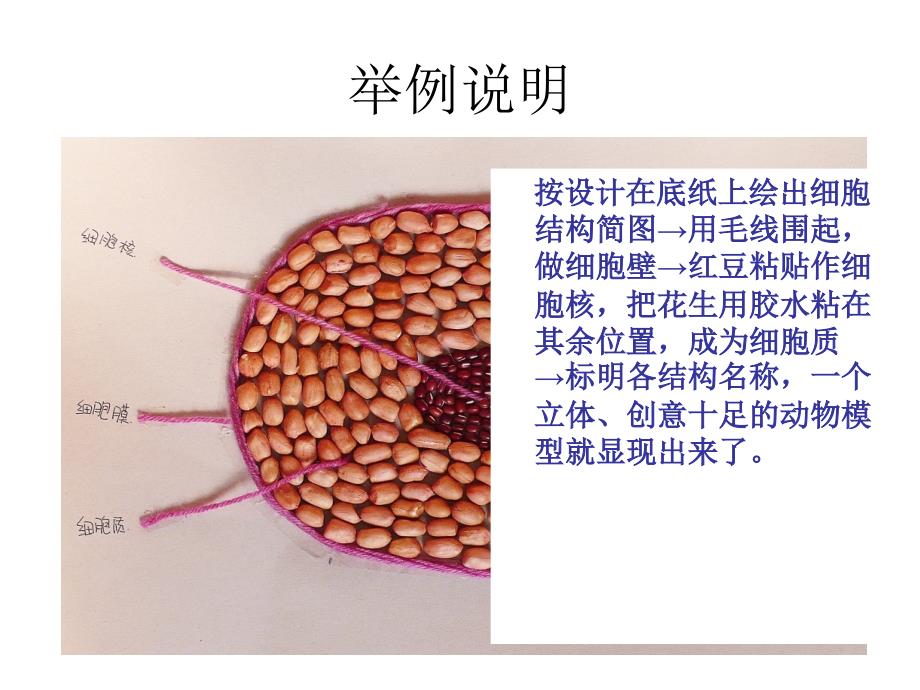 制作细胞模型_第4页