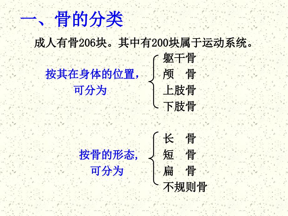 运动系统-骨学ppt_第3页