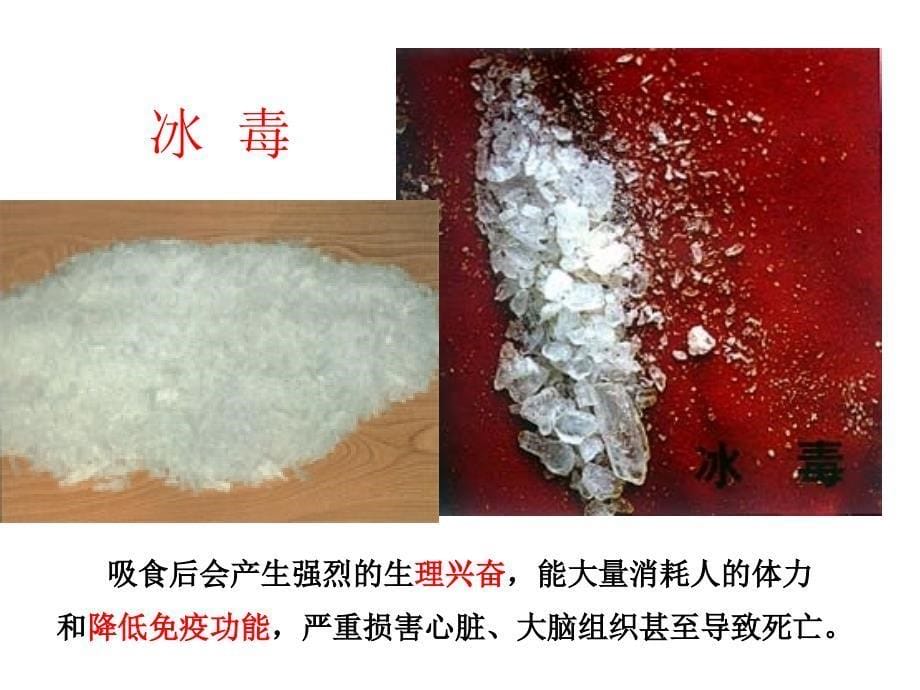 《珍爱生命-远离毒品》ppt_第5页