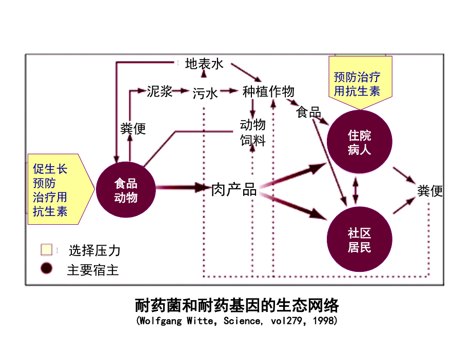 兽用抗菌药物耐药性风险评估-9-5_第4页