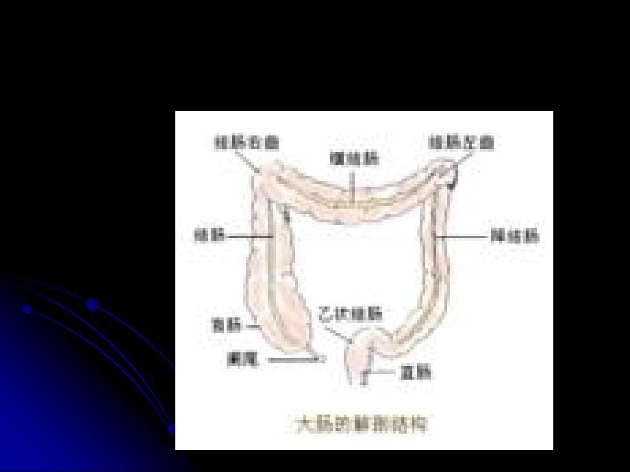 排便异常病因及治疗护理_第5页