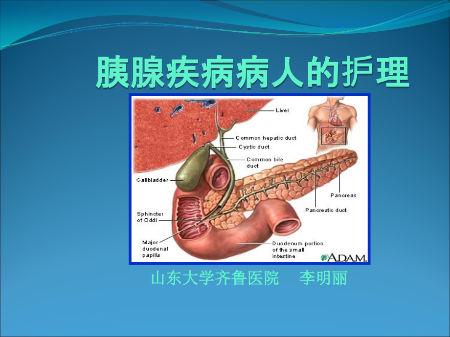 胰腺疾病病人的护理-山东大学_第1页